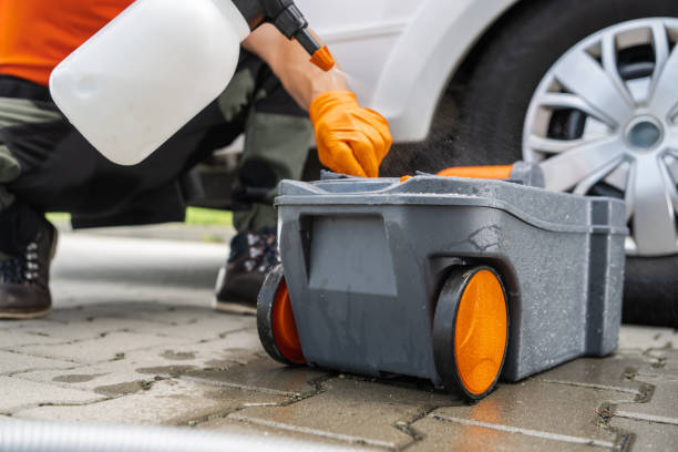 Best Pest Control for Lawns  in Madera Acres, CA